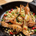 Mantis Shrimp